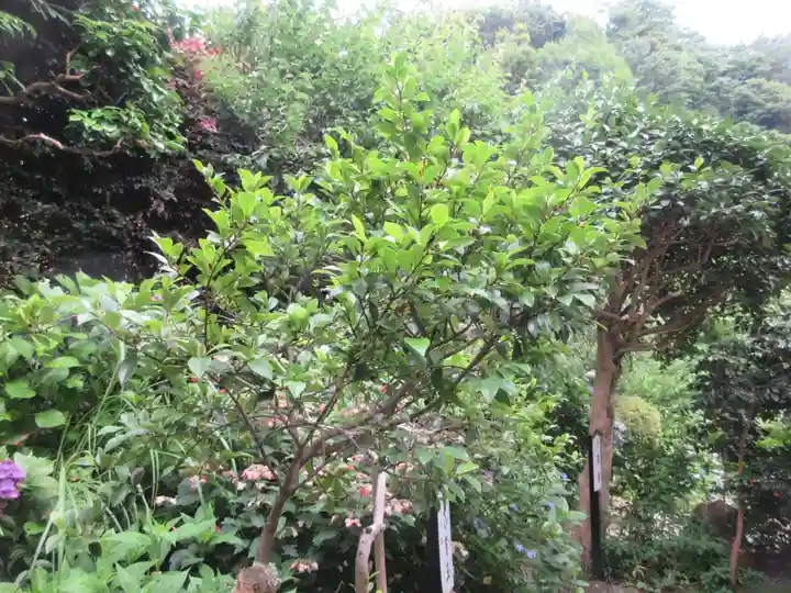 円覚寺(神奈川県)