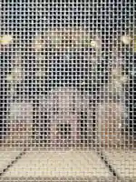 宗泉寺(栃木県)