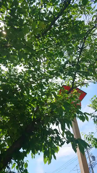 尾張大國霊神社(国府宮)の自然