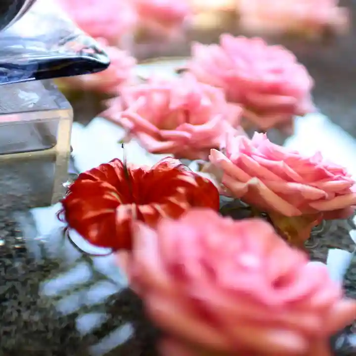 三津厳島神社の手水舎