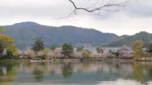 大覚寺の景色