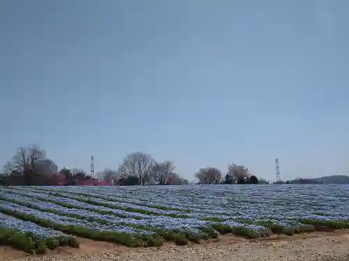 巳徳神社の周辺