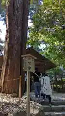 伊勢神宮外宮（豊受大神宮）(三重県)