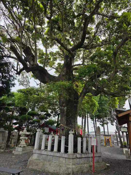 西宮八幡宮(山口県)