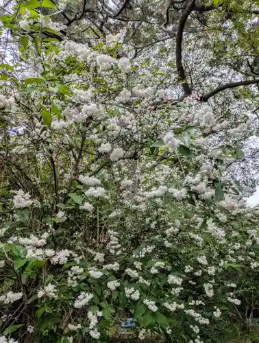 住吉大社(大阪府)