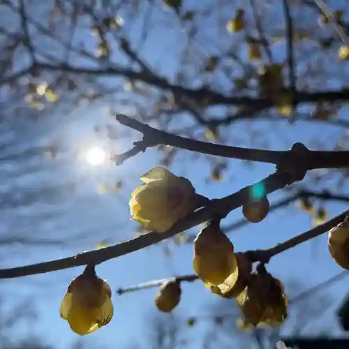 横浜　西方寺(神奈川県)