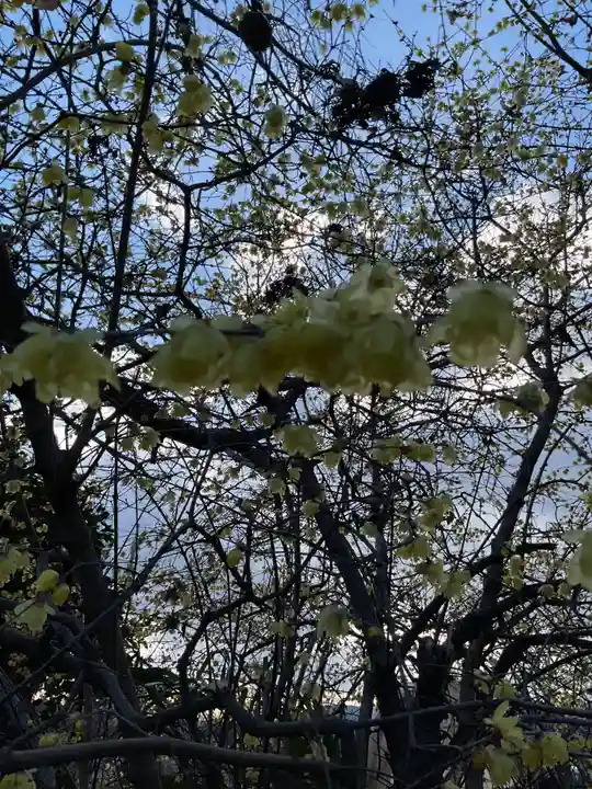 一心寺・一心禅寺(愛知県)