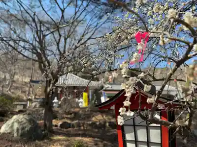 不動寺(埼玉県)