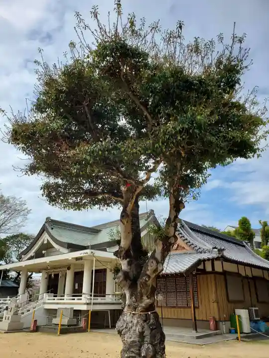 鳥羽八幡神社の本殿・本堂