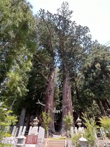 夏井諏訪神社(福島県)
