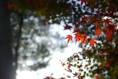 仁和寺(京都府)