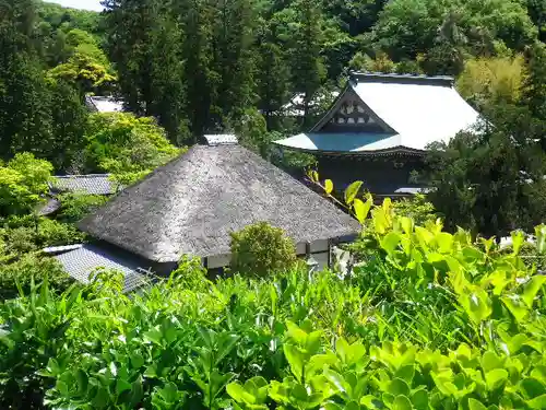 松嶺院の景色