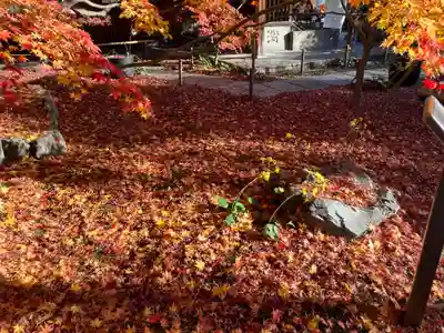 勝林寺(京都府)