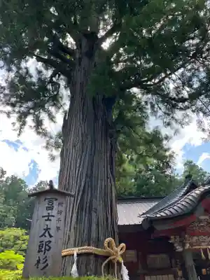 北口本宮冨士浅間神社(山梨県)