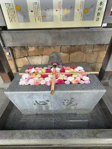 亀山八幡宮(山口県)