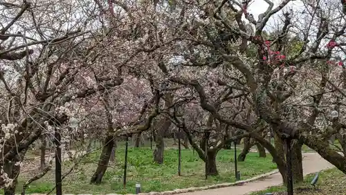 北野天満宮(京都府)
