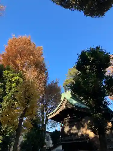 高円寺天祖神社(東京都)