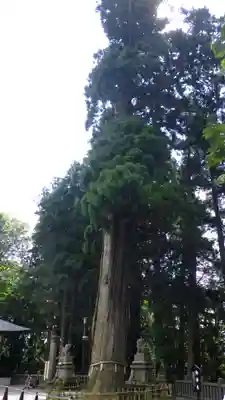 戸隠神社中社(長野県)