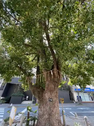 太田姫稲荷神社(東京都)