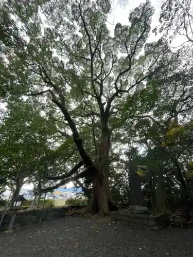 御薗神社の{uncategorized: "未分類", other: "その他", undefined: "問題あり", building: "その他建物", grave: "お墓", sacred_gate: "鳥居", guardian: "狛犬", statue: "像", buddha: "仏像", history: "歴史", nature: "自然", garden: "庭園", animal: "動物", pagoda: "塔", temizu: "手水舎", mountain_gate: "山門・神門", sanctuary: "本殿・本堂", subordinate: "末社・摂社", art: "芸術", scenery: "景色", jizo: "地蔵", ema: "絵馬", goshuin: "御朱印", omikuji: "おみくじ", items: "授与品その他", amulet: "お守り", goshuincho: "御朱印帳", eats: "食事", festival: "お祭り", votive_dance: "神楽", shichigosan: "七五三参", wedding: "結婚式", experience: "体験その他", initially: "初詣", around: "周辺", anti_infection: "感染症対策"}