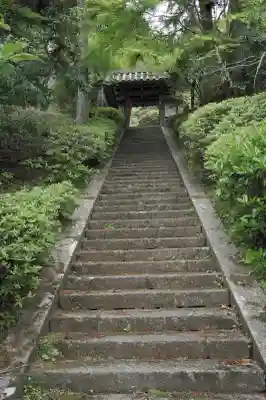園養寺の{uncategorized: "未分類", other: "その他", undefined: "問題あり", building: "その他建物", grave: "お墓", sacred_gate: "鳥居", guardian: "狛犬", statue: "像", buddha: "仏像", history: "歴史", nature: "自然", garden: "庭園", animal: "動物", pagoda: "塔", temizu: "手水舎", mountain_gate: "山門・神門", sanctuary: "本殿・本堂", subordinate: "末社・摂社", art: "芸術", scenery: "景色", jizo: "地蔵", ema: "絵馬", goshuin: "御朱印", omikuji: "おみくじ", items: "授与品その他", amulet: "お守り", goshuincho: "御朱印帳", eats: "食事", festival: "お祭り", votive_dance: "神楽", shichigosan: "七五三参", wedding: "結婚式", experience: "体験その他", initially: "初詣", around: "周辺", anti_infection: "感染症対策"}