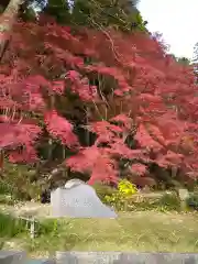 尊永寺の自然