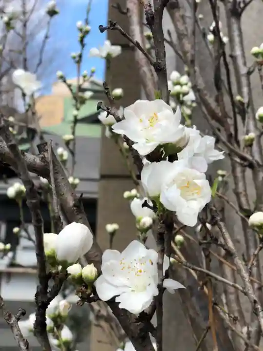 小野照崎神社の自然