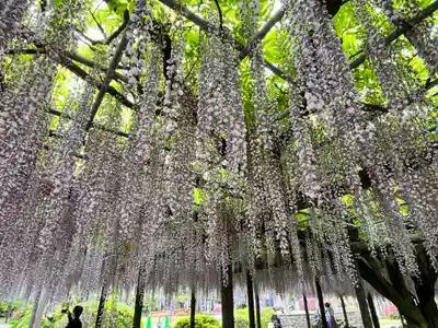 宮目神社（玉敷神社　境内社）(埼玉県)
