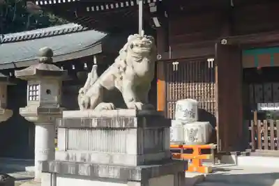 京都霊山護國神社の狛犬