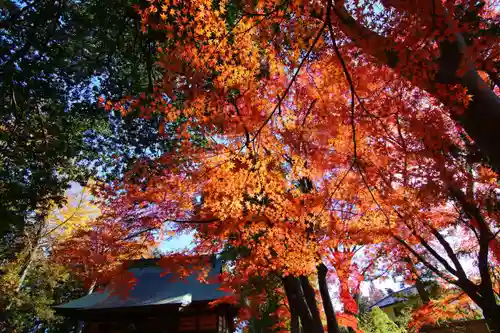 國祖神社の景色