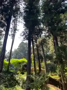 大宮温泉神社(栃木県)(2023年05月18日(木) 07時31分28秒投稿)