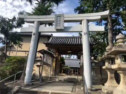 片埜神社の鳥居