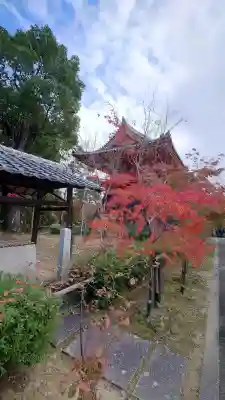 仁和寺の{uncategorized: "未分類", other: "その他", undefined: "問題あり", building: "その他建物", grave: "お墓", sacred_gate: "鳥居", guardian: "狛犬", statue: "像", buddha: "仏像", history: "歴史", nature: "自然", garden: "庭園", animal: "動物", pagoda: "塔", temizu: "手水舎", mountain_gate: "山門・神門", sanctuary: "本殿・本堂", subordinate: "末社・摂社", art: "芸術", scenery: "景色", jizo: "地蔵", ema: "絵馬", goshuin: "御朱印", omikuji: "おみくじ", items: "授与品その他", amulet: "お守り", goshuincho: "御朱印帳", eats: "食事", festival: "お祭り", votive_dance: "神楽", shichigosan: "七五三参", wedding: "結婚式", experience: "体験その他", initially: "初詣", around: "周辺", anti_infection: "感染症対策"}