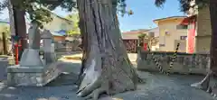 飯坂八幡神社(福島県)