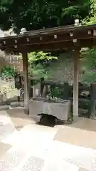 大圓寺の手水