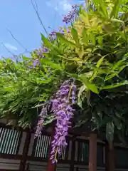 日枝神社(東京都)