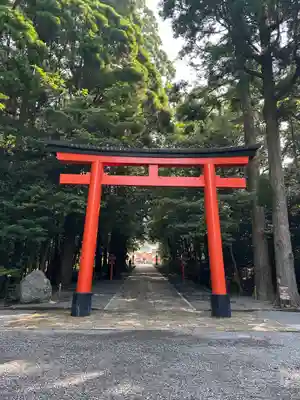 霧島神宮(鹿児島県)