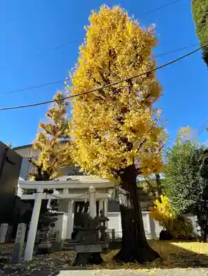 初音森神社の自然