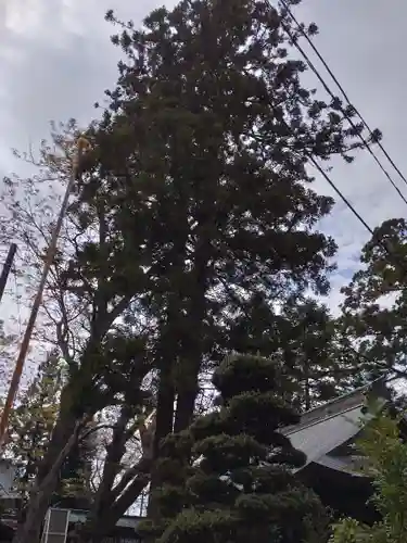 蠶養國神社(福島県)