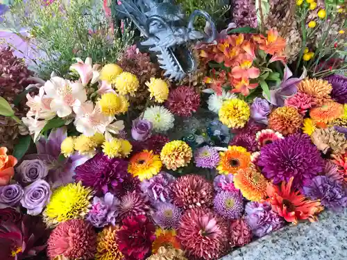 札幌諏訪神社の手水舎