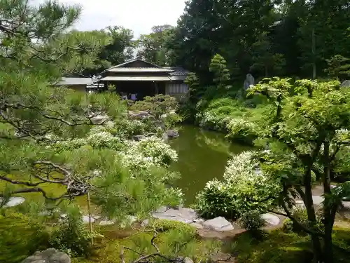 両足院の庭園