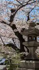 墨染寺（桜寺）(京都府)