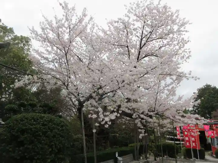 戒光寺(戒光律寺)(京都府)