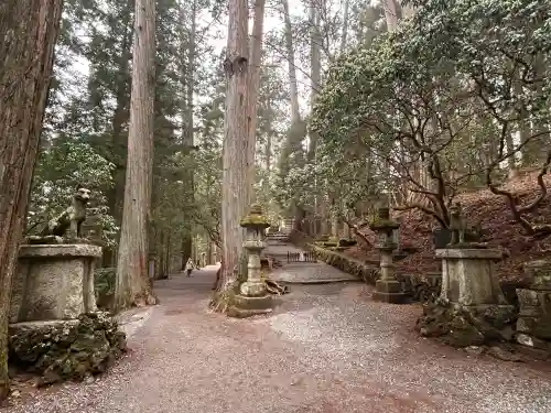 三峯神社の{uncategorized: "未分類", other: "その他", undefined: "問題あり", building: "その他建物", grave: "お墓", sacred_gate: "鳥居", guardian: "狛犬", statue: "像", buddha: "仏像", history: "歴史", nature: "自然", garden: "庭園", animal: "動物", pagoda: "塔", temizu: "手水舎", mountain_gate: "山門・神門", sanctuary: "本殿・本堂", subordinate: "末社・摂社", art: "芸術", scenery: "景色", jizo: "地蔵", ema: "絵馬", goshuin: "御朱印", omikuji: "おみくじ", items: "授与品その他", amulet: "お守り", goshuincho: "御朱印帳", eats: "食事", festival: "お祭り", votive_dance: "神楽", shichigosan: "七五三参", wedding: "結婚式", experience: "体験その他", initially: "初詣", around: "周辺", anti_infection: "感染症対策"}