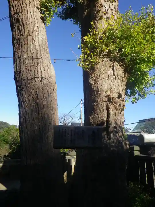 御霊神社の自然