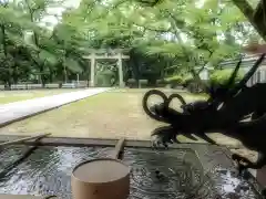 加茂神社の手水