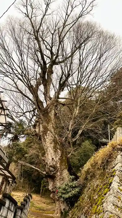 小夫天神社(奈良県)