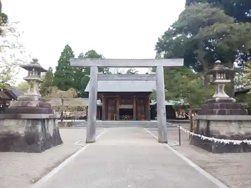 射水神社の鳥居