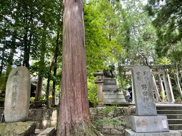 野田神社(山口県)