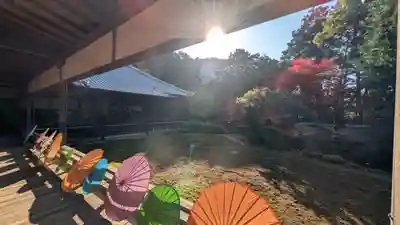 隨心院(随心院)(京都府)